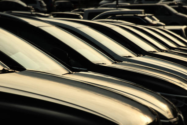 limousine services