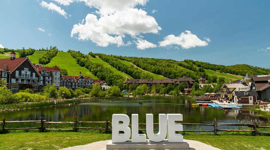 Blue Mountain Limousine Service